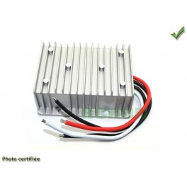SURVOLTEUR 12V /24V 20 A