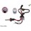 AMPOULE XENON H11 6000K 12V 35W UNITAIRE