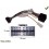 CABLE SPECIFIQUE AUTORADIO ISO PIONEER 16pins 30x13mm DEHP