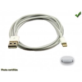 CABLE USB MALE - PRISE APPLE IPOD IPHONE 5 IPAD3 usb 1000mA max