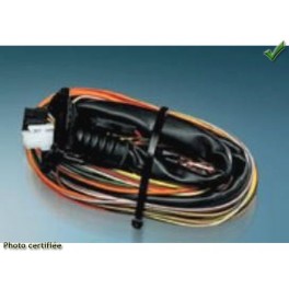 CABLAGE ALARME CAN BUS GEMINI POUR PEUGEOT 207 ET 307 AVEC BSI PROGRAMMEE