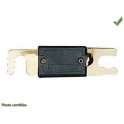 FUSIBLE ANL 300Amp