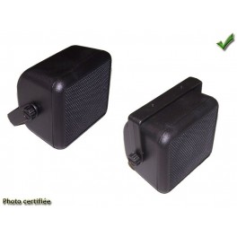 HAUT-PARLEUR D100 BICONE 40W EN BOX NOIRE AVEC PIED (paire)