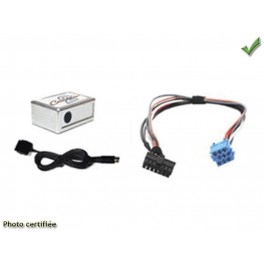 INTERFACE IPOD POUR RENAULT GATEWAY 200