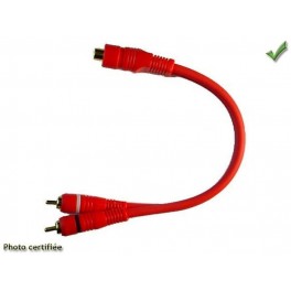 CORDON DERIVATIONS EN Y RCA 1 FEMELLE 2 MALES 0.25M PAR 2 PIECES