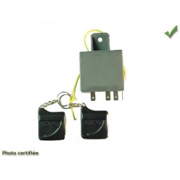 CENTRALE DE CENTRALISATION 2TELCDES 12V POUR REMPLACEMENT LG5 LG7 LG8