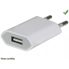 CHARGEUR SECTEUR 220V - USB FEMELLE 5V TYPE APPLE POUR CABLE USB IPHONE