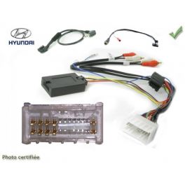 CDE AU VOLANT POUR Hyundai Santa Fe 2006-2010 AVEC AMPLI