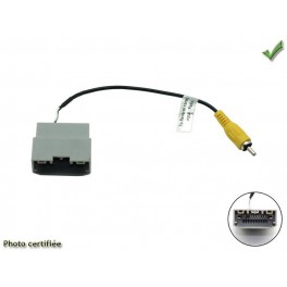 MODULE DE RECUPERATION CAMERA DE RECUL VOYAGER 2008-2013