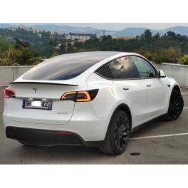 ATTELAGE TESLA MODEL Y 03/2019- - RDSOH DEMONTABLE SANS OUTIL PORTE VELOS
